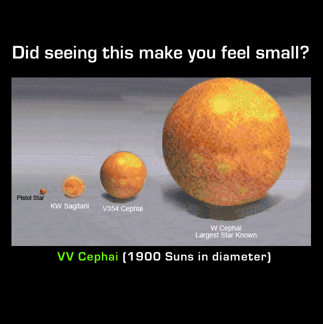 1232964987_we%20are%20small.gif