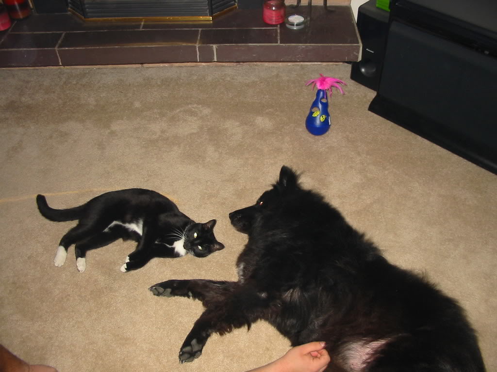 124-2499_IMG.jpg