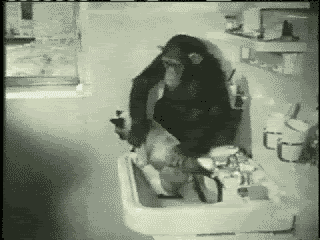 1240668446624.gif