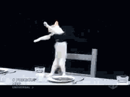1240674474284.gif