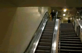 1243646197006.gif