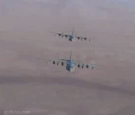 1244063765_angel-decoy.gif
