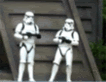 1260929869039.gif