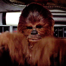 12B315B7-E282-44DB-AF62-AC4AC537575E.gif