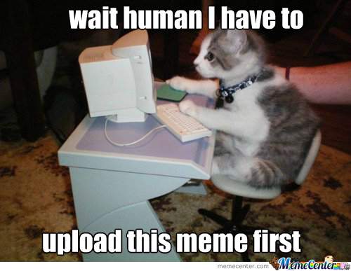 12B64315-B5E3-426B-9E94-A39EF6FDCA2B.jpeg