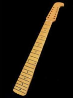 12stringneck.jpg