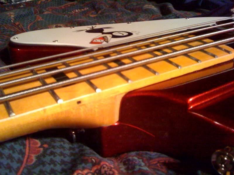 1300251479.jpg