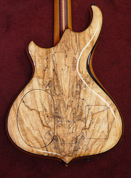 13725_bodybackM.jpg