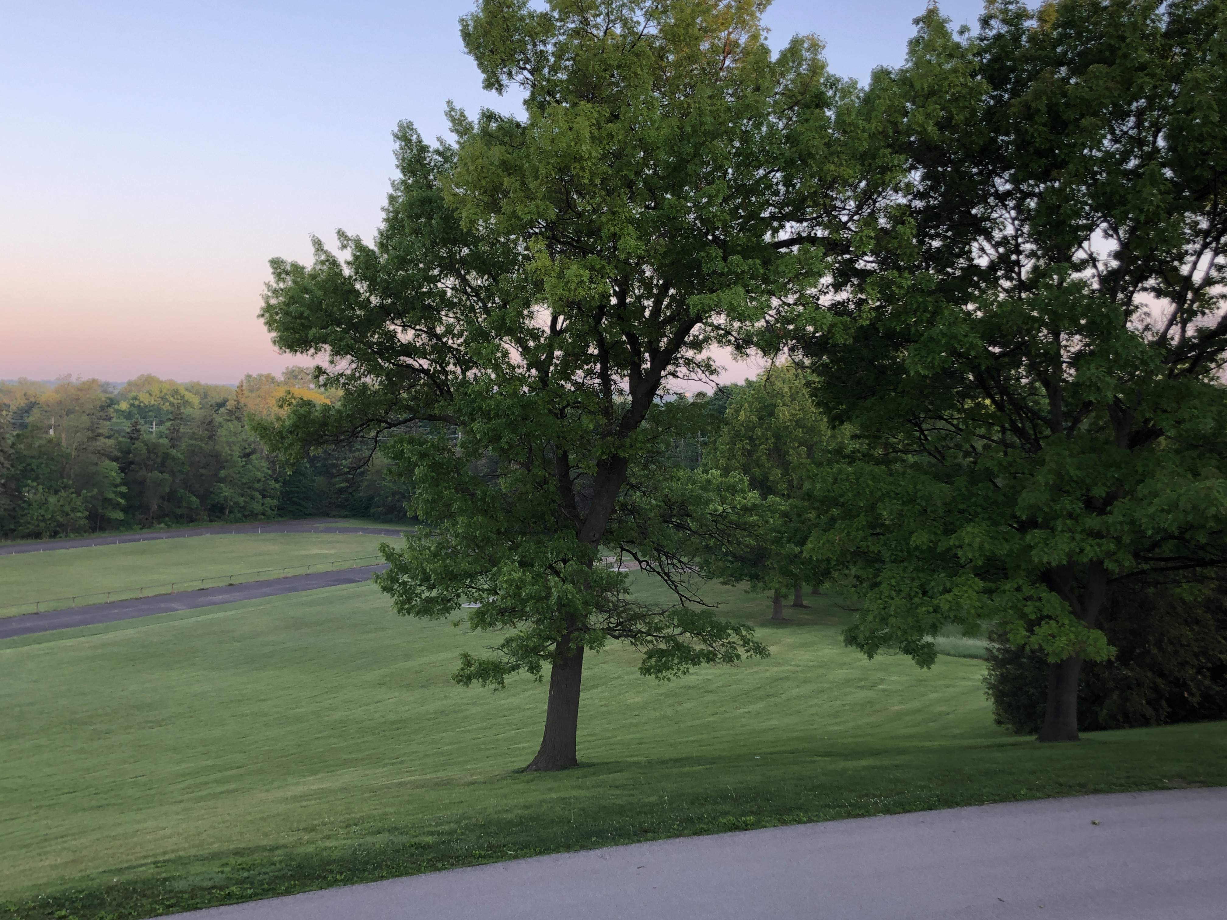 13849C64-6915-4520-AE3A-5D23A97F4C6F.jpeg