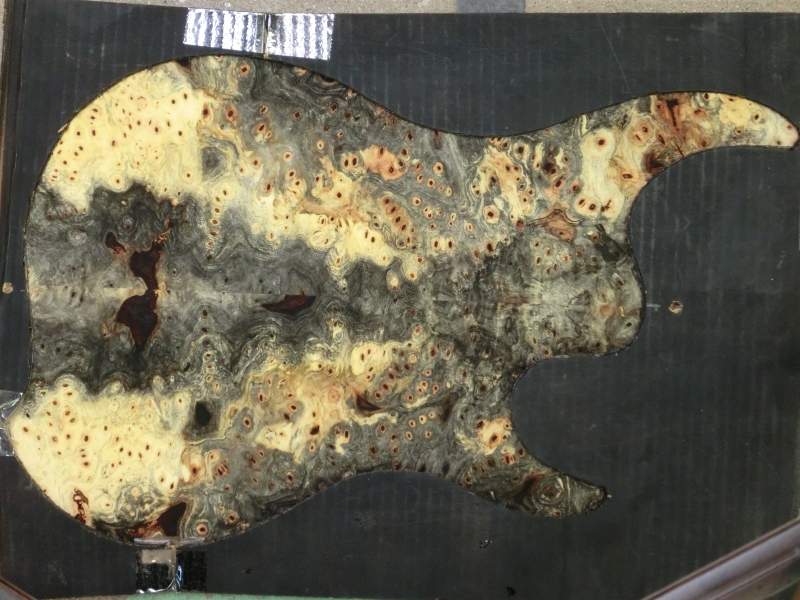 1443-buckeye-burl.jpg