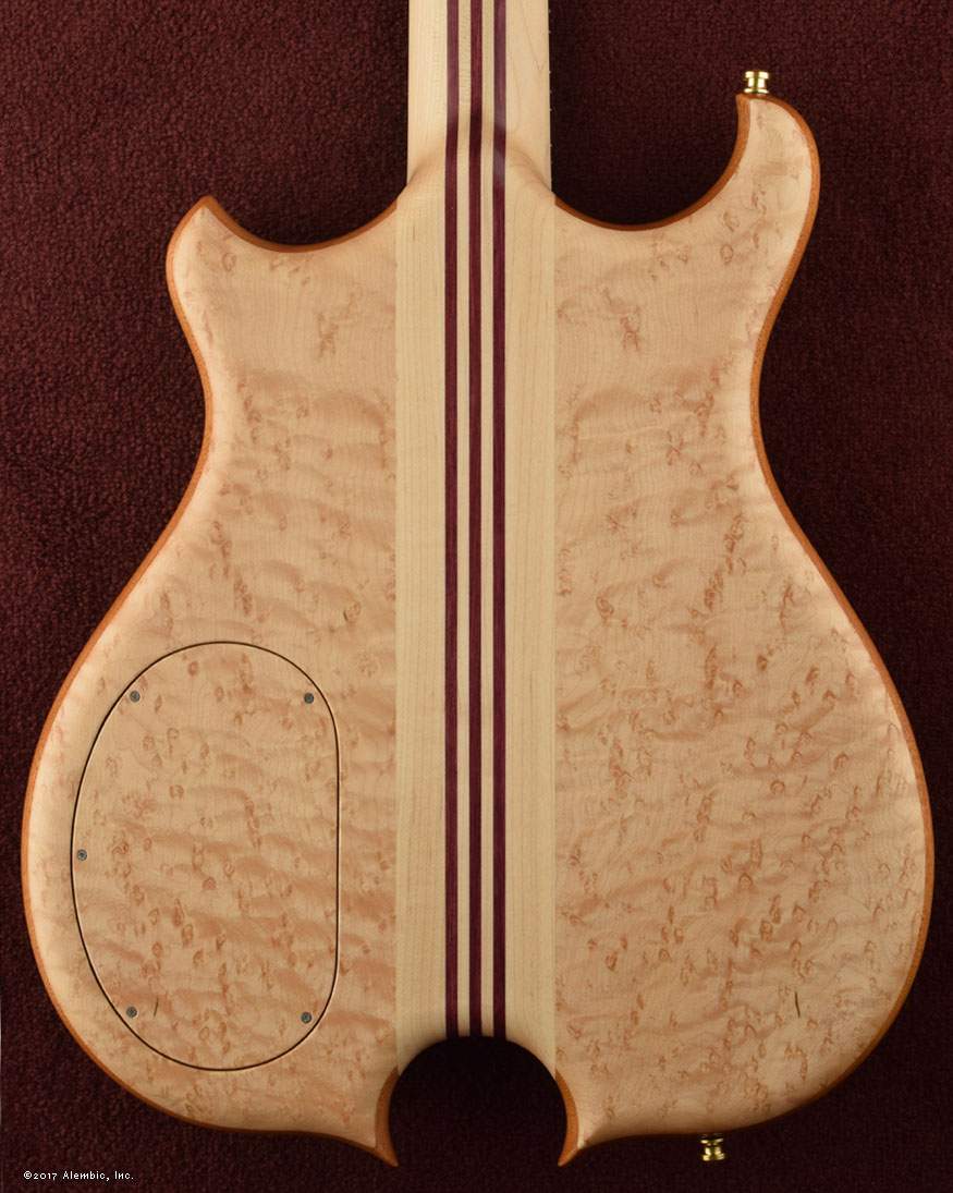 14588_bodybackNL.jpg