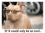 1459th.gif