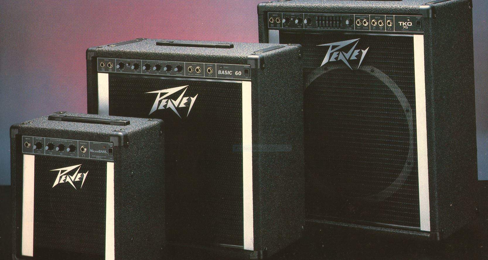 15 PEAVEY MICROBASS BASIC60 TKO75.JPG