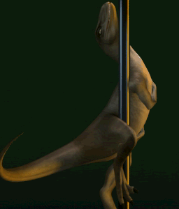 15dwf10.gif