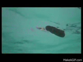 15Yhv1.gif