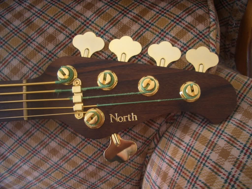 161.jpg