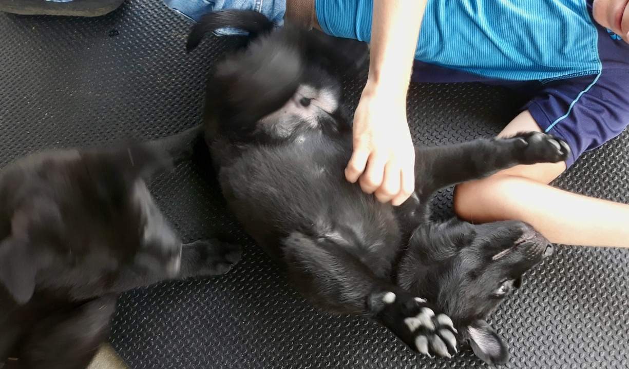 1621041362578.jpeg