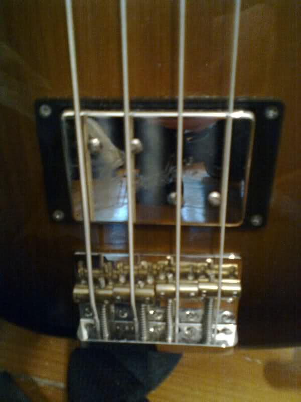 16m557c.jpg