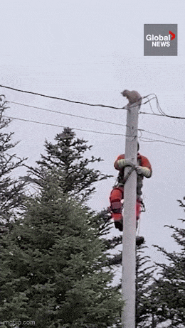 1702657485_20.gif
