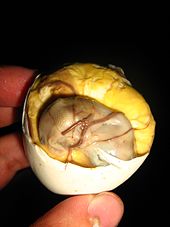 170px-BALUT.jpg