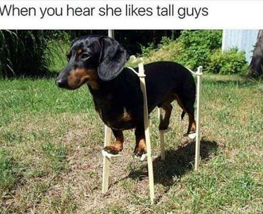 1720151544921.png