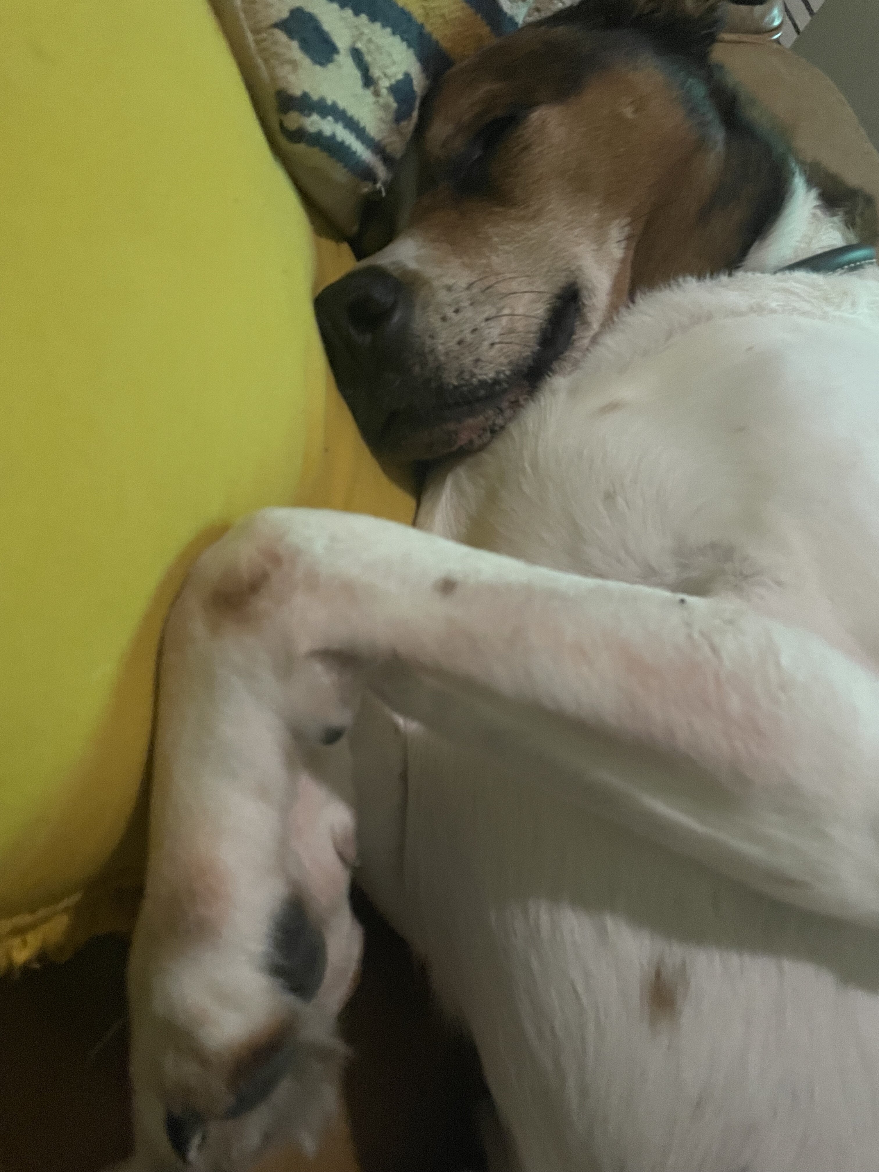 1727451440493.jpeg