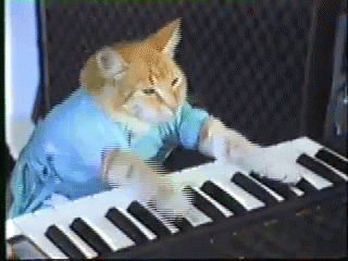 1727496474817.gif