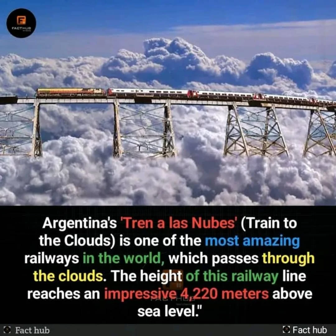 1728499561044.png