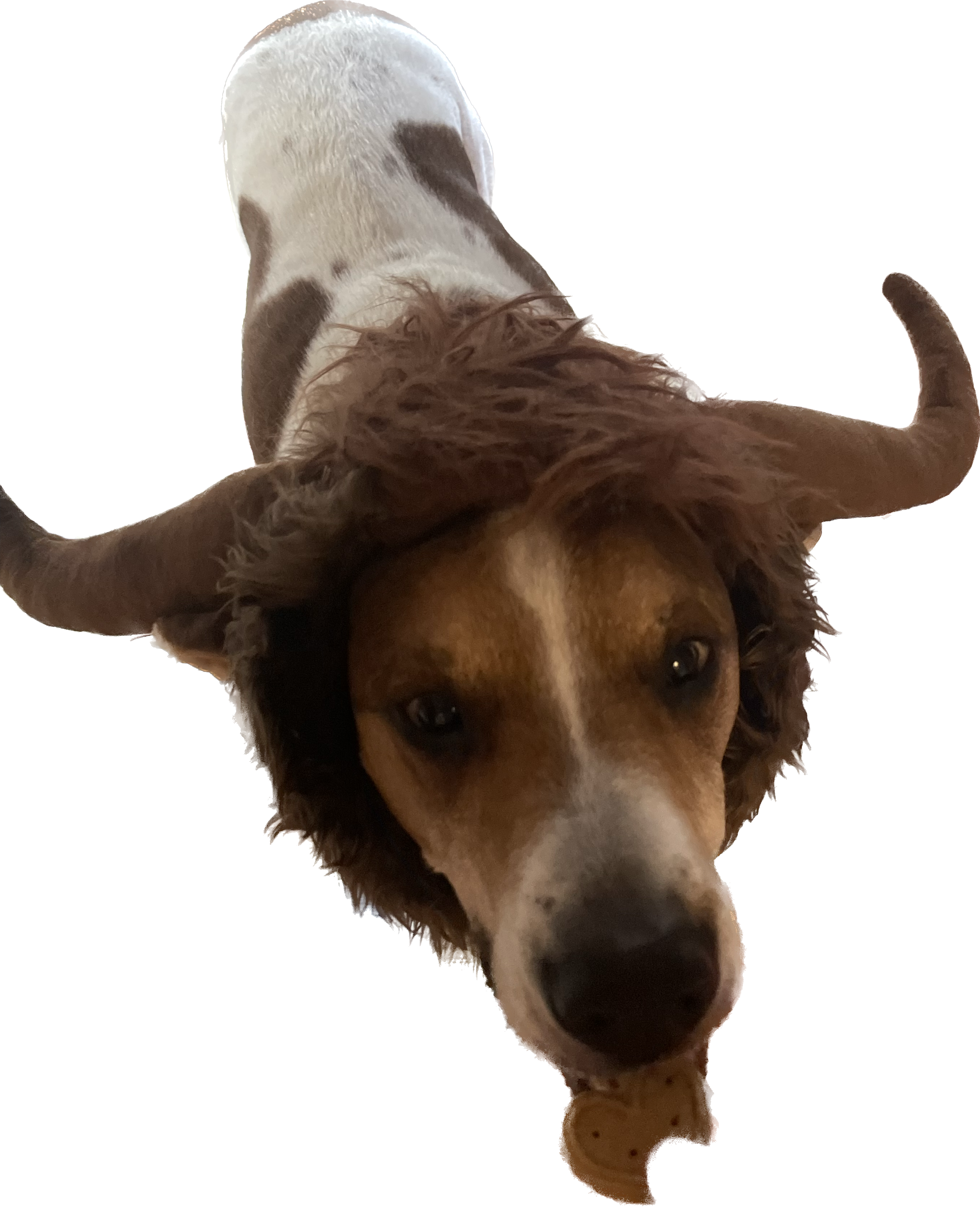 1729960811475.png