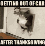 1732935155959.gif