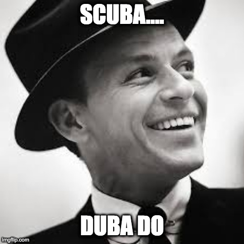 1735858780969.png