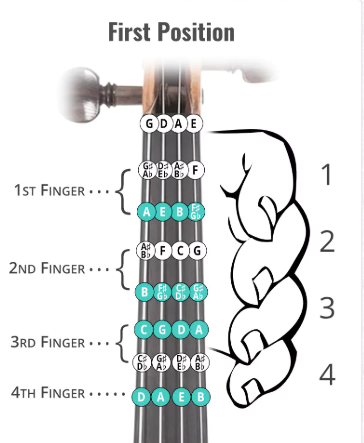 1736251751800.png