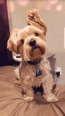 1744323447850.gif