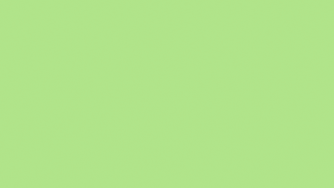 1744750419782.gif