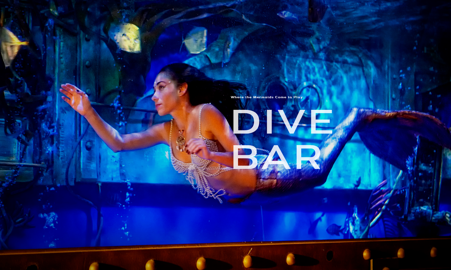 Dive Bar Sacramento
