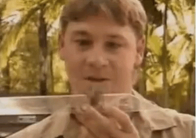 1746203378671.png