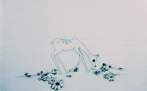 1747431779670.gif