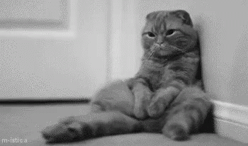 1748046687427.gif