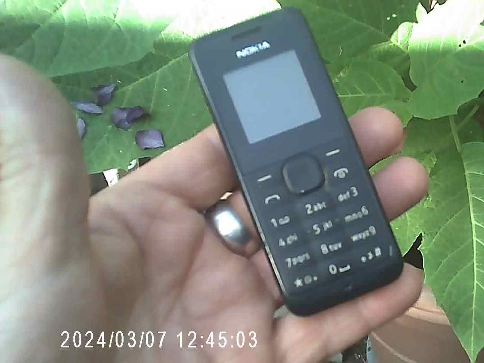 1751612725031.jpeg
