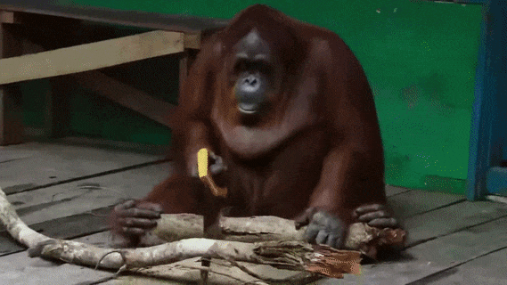 1754aff51820b4a644db3943b4ef93c7.gif