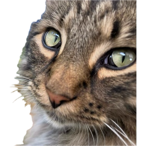 1759354205130.png