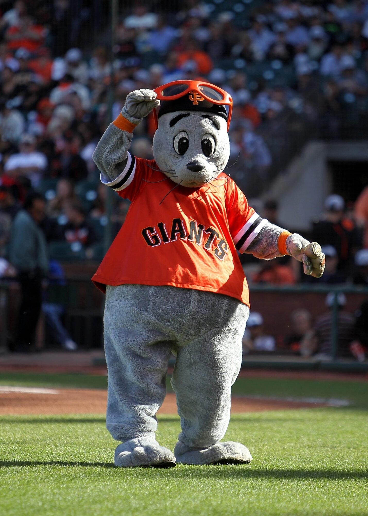 Lou Seal