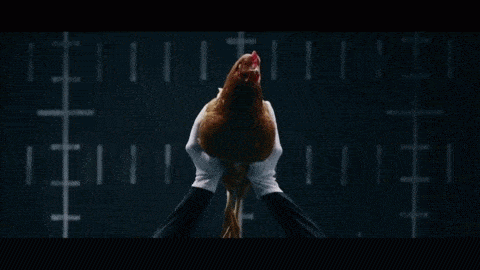 1764438224606.gif