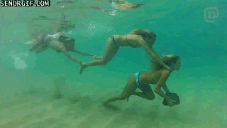 1765168005260.gif