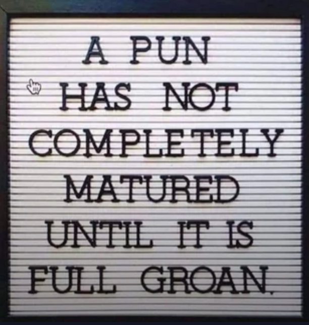 1769043943677.png