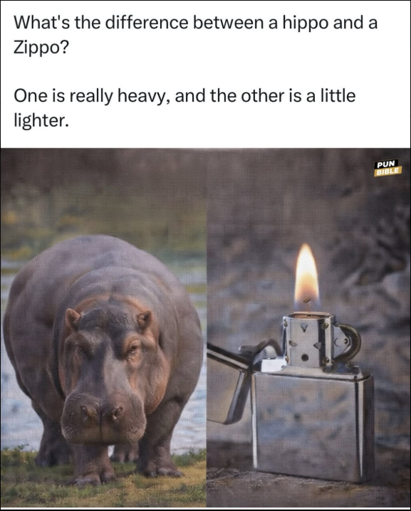 1770244623318.png