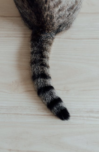 1771046859322.png