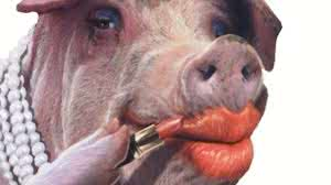 1777834879687.png