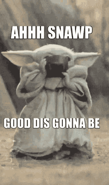 1778447139893.gif