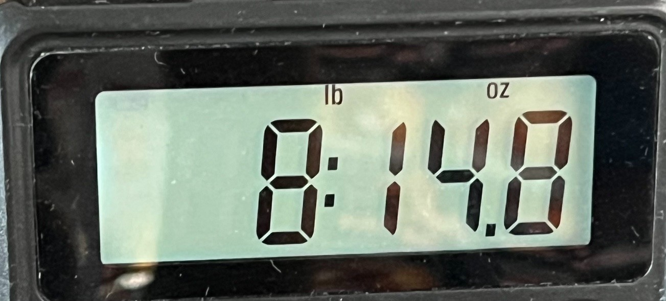 1778591593048.png